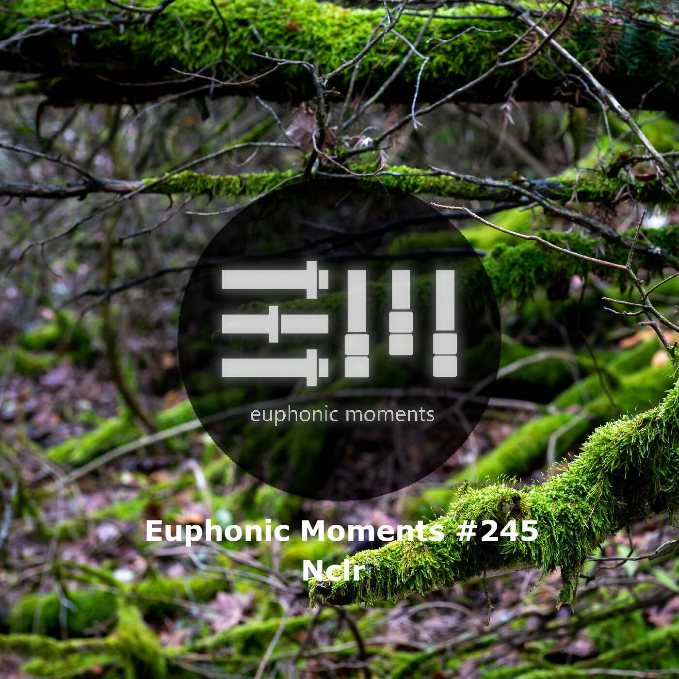 Euphonic Moments # 245 Nclr episode artwork