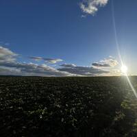 A Day of Organic House Music