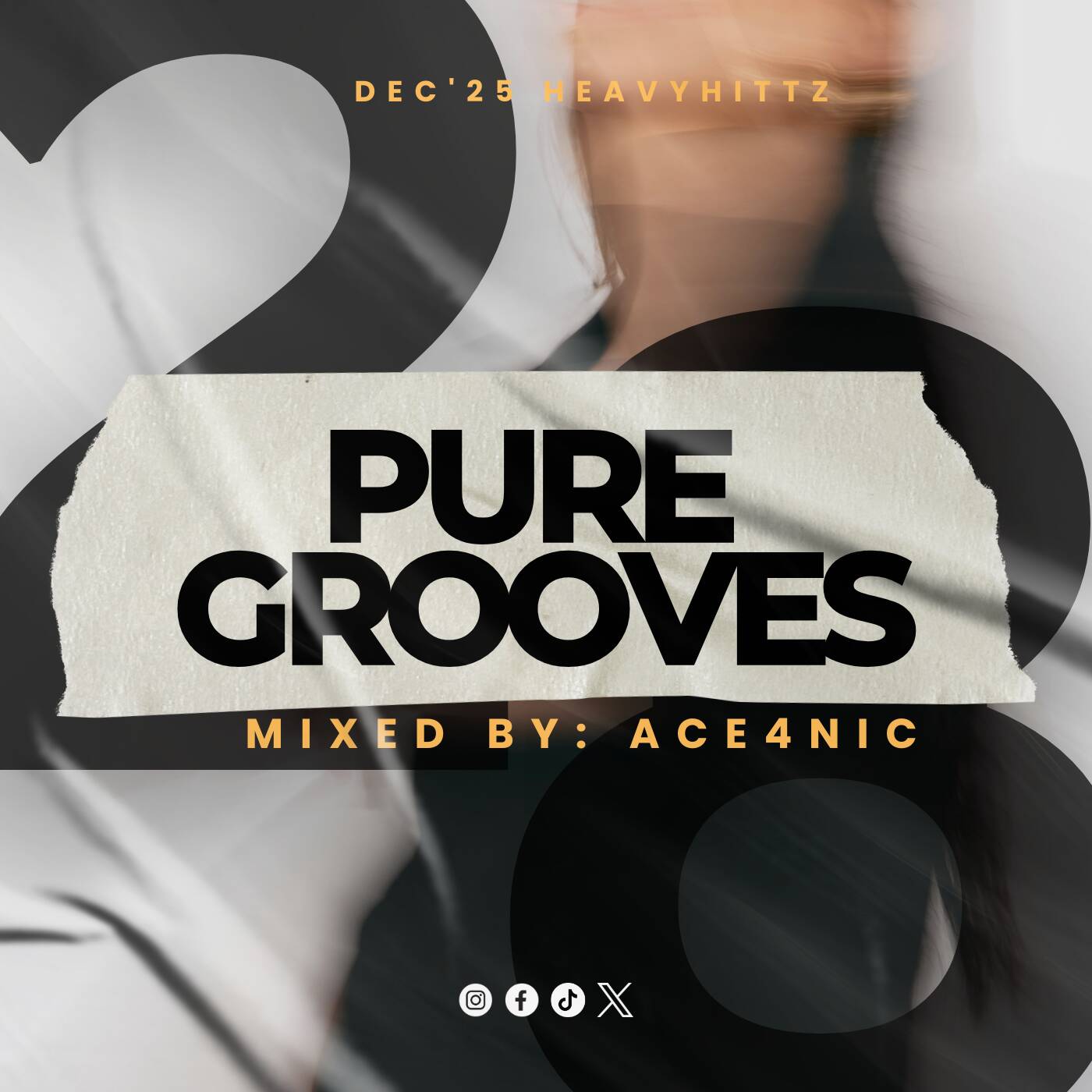 Pure Grooves Vol.28 Mixed By. ACE4NIC [Dec'25 Heavyhittz]