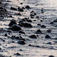 Mundo Mix Radio 244 (03-11-2023) by DJ João Machado