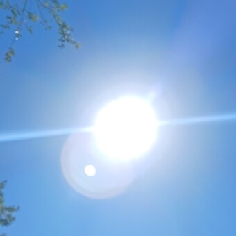 fernandinijym@gmail.com