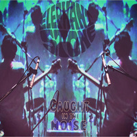 Elephant Stone - Caught in the Noise by hairybreath