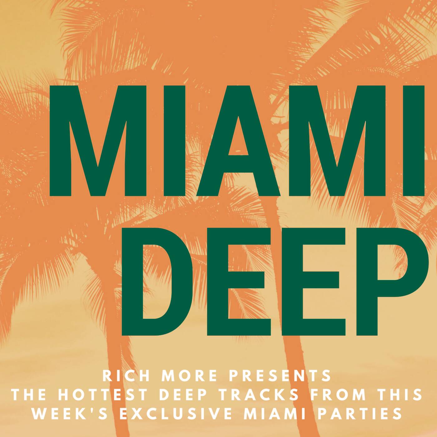 RICH MORE: Miami Deep 2 episode artwork