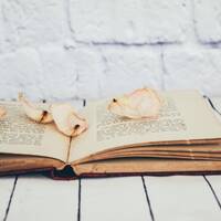 Ekumeniske koncili baznīcā