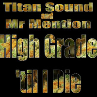 HIGH GRADE TIL I DIE (Exclusive Download Link in Description) by Selecta Demo (TITAN SOUND)