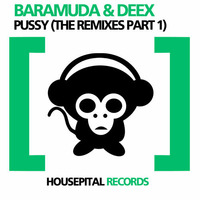 Baramuda & Deex - Pussy (DJ Synchro remix) by DJ Synchro