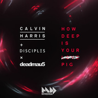 Calvin Harris + Disciples x Deadmau5 - How Deep Is Your Love vs Fn Pig (Rinedida Mashup) by Rinedida
