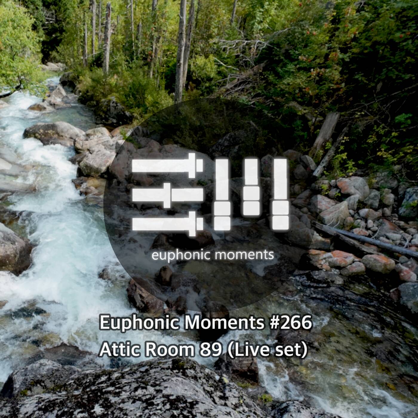 Euphonic Moments # 266 Attic Room 89 (Live set) episode artwork