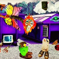 MARC KENNEDY - Musician and Collagist - CRUMB CATCHER &amp; THE THICK UN'S - Burlington - [ USA ] by Radio X Interviews