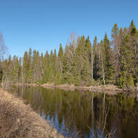 On the banks of a spring river by Notes on Sound
