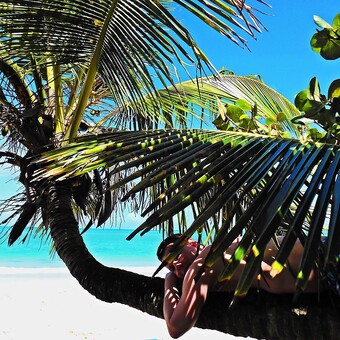 Andr&Atilde;&copy; Schwarz