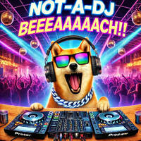 TOL2BDAY Pt.I by NOT-a-DJ by NOT-a-DJ