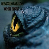 David Eliav - The Eye by David Eliav