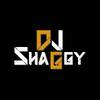DJ Shaggy