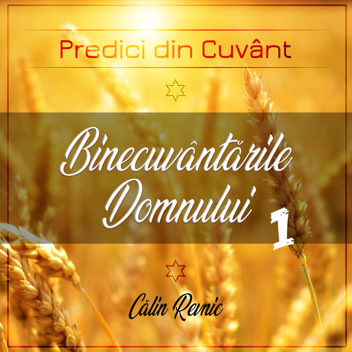 Binecuvântările Domnului I (Călin Revnic) episode artwork
