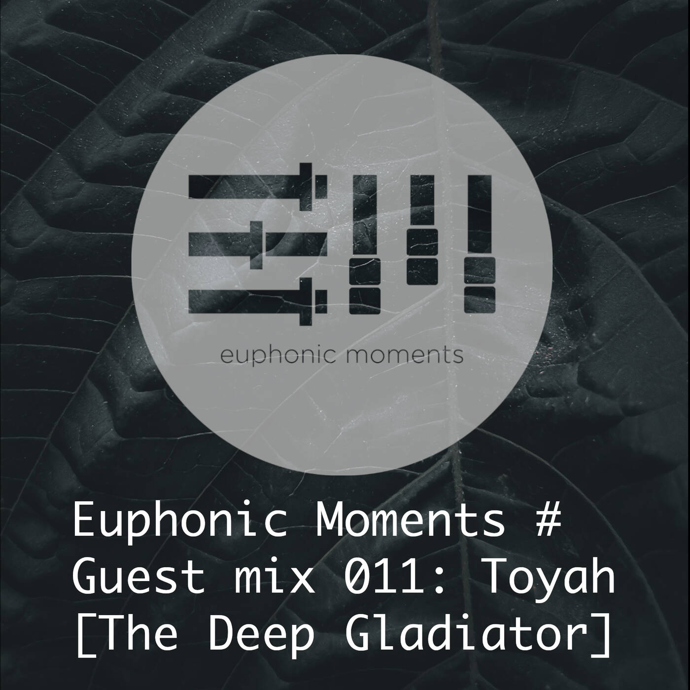 Euphonic Moments # Guest mix 011: Toyah[The Deep Gladiator] episode artwork