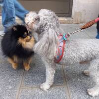 podcast 13 by LE MATOU