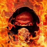 The Sound of the Jungle