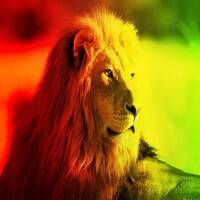 Reggae Niceness Vol. 31 by DJ Sluum