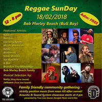 TRUE LION SOUND @ REGGAE SUNDAY FEB '18 by Jahkeem
