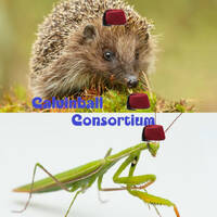 Bestiaire des Besties 40 - Le hérisson et la mante religieuse by Bestiaire des Besties