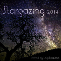 Stargazing 2014 by Logisticalone