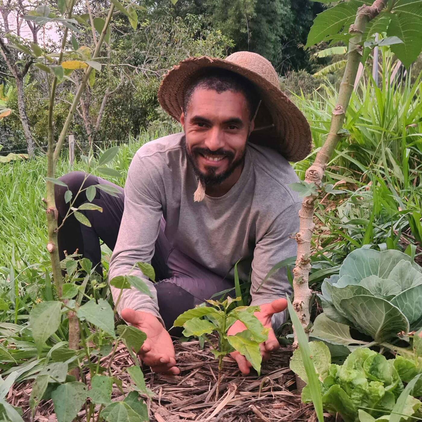 Radio Connection - Agrofloresta Café: Kaffeeanbau in Brasilien #334 episode artwork