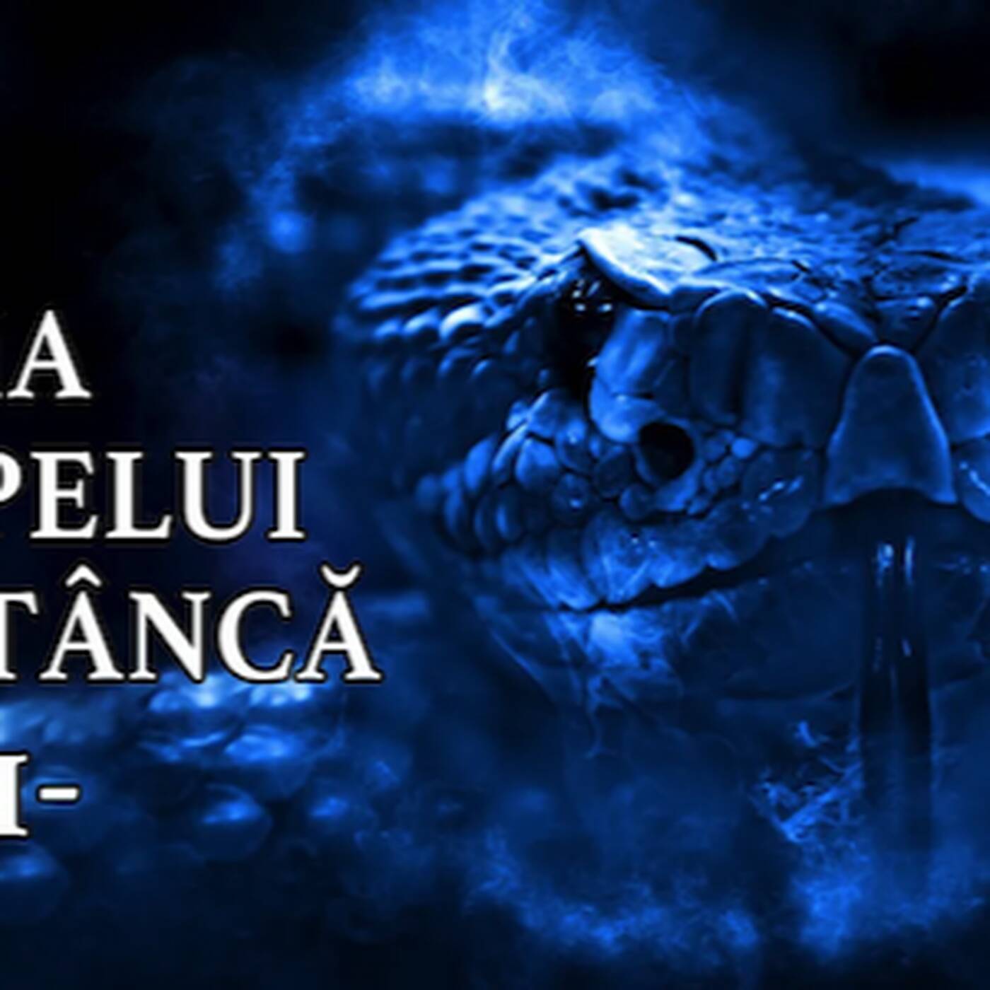 Urma șarpelui pe stâncă - 1 episode artwork