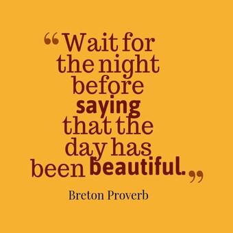 VikTarr Maidi MoLomo