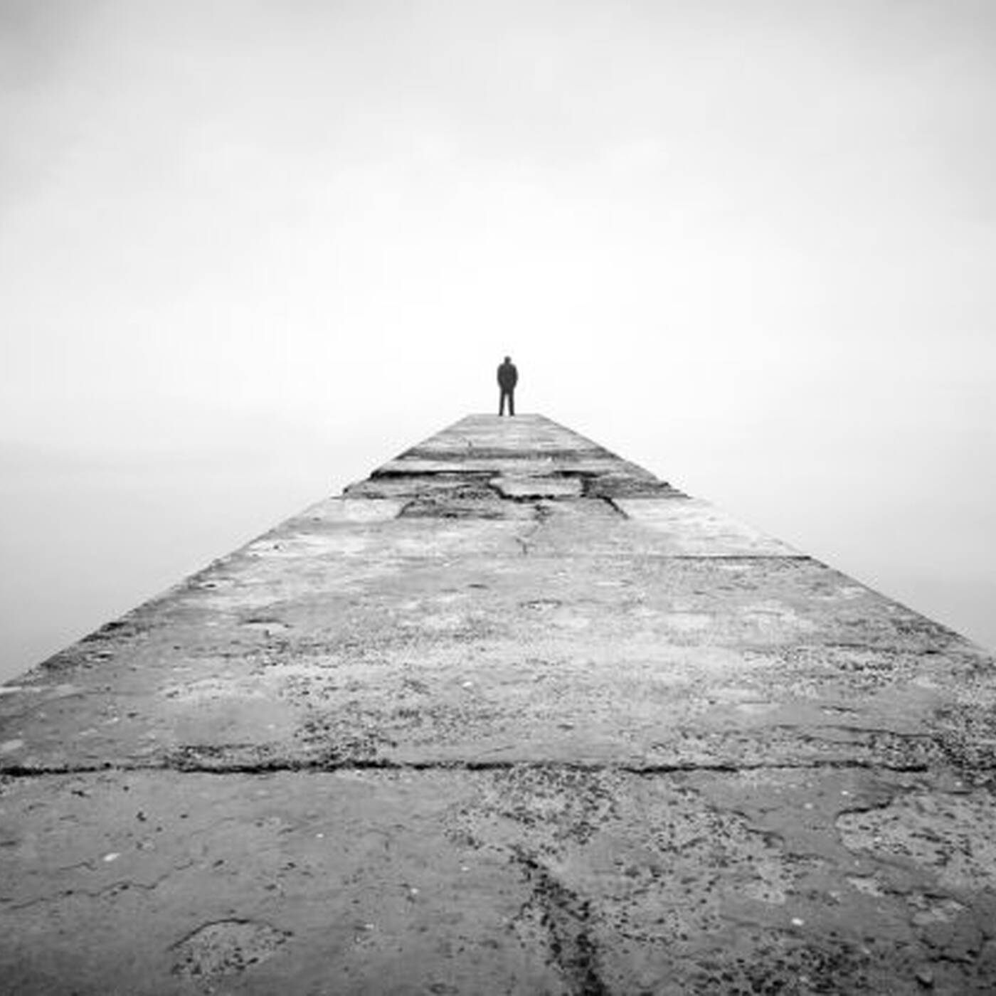 The Goya MusicMan Show