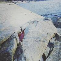 Live Session 2020 by KLLAKK