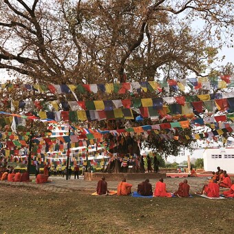 Borja Hermosilla Herrero