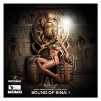 SOUND OF SINAI (CD !)