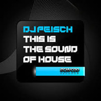 This Is The Sound Of House Original Mix Dj Peisch Pre. by DjPeisch.tracks