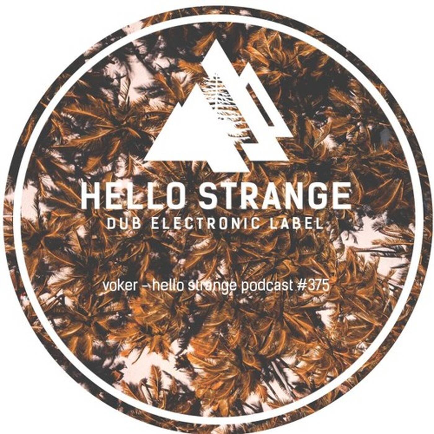 voker - hello strange podcast #375 episode artwork