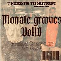 MONATE GROOVES VOL 10[TRIBUTE TO HOTDOG] WELCOMING 2023 by OSJ