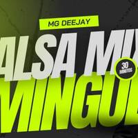 🔥​🫦​SALSA DOMINGUERA MIX - MG DEEJAY FT LA ROCOLA PTY by LA ROCOLA PTY