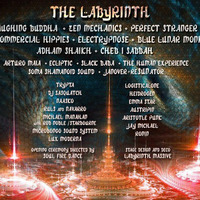 Live @ Shambhala Music Festival 2013, Labyrinth Stage (FREE D/L link in description) by Logisticalone