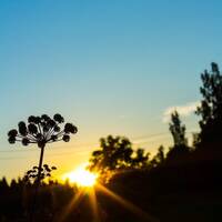 copernicus - highway to house - episode 36 by copernicus