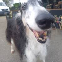 podcast 4 by LE MATOU