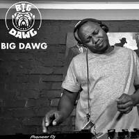 AMAPIANO MIX ELEGANT YANOS SESSIONS #02 BY BIG DAWG LIVE AT BINA MALATLHE by Tshepo Malatsi (Mr. Houz It Friday aka Big Dawg)