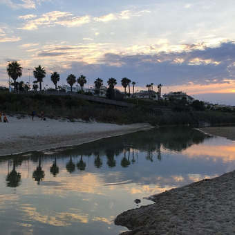 Mitxel Martinez Cubells