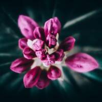 copernicus - highway to house - episode 45 by copernicus