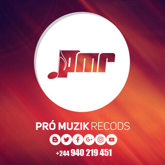 Pro muzik record