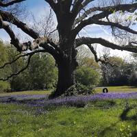 binar - underground junglist mixtape spring 2026 070426 by binar