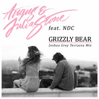 Angus &amp; Julia Stone feat. NDC - Grizzly Bear (Joshua Grey Terrazza Mix) by Joshua Grey