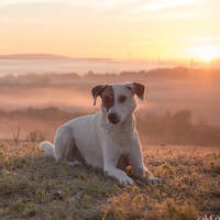 My Melodic Mix DJ Live Set von Tekknika 2026 by DJ Tekknika