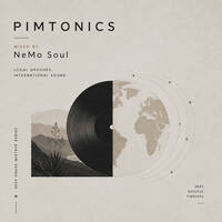 Pimtonics Vol.4 (A Stay True Groove) by NeMo Soul