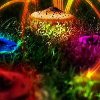 Christian F. DjPlanet