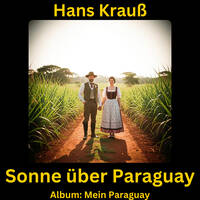 Sonne über Paraguay by Hans Krauß